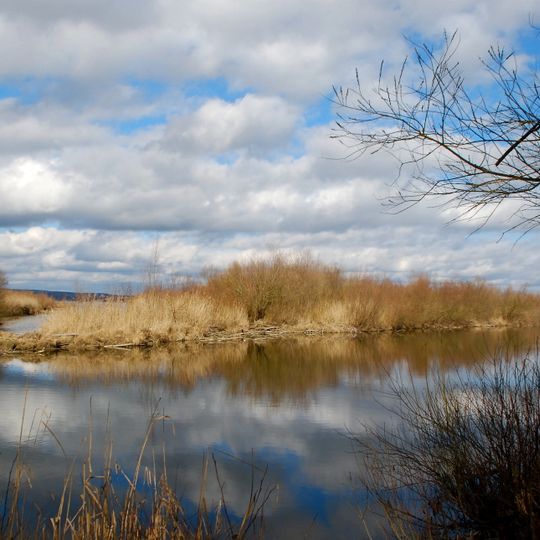 Ammersee-Südufer und Raistinger Wiesen