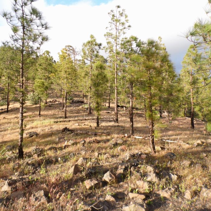 Inagua Natural Reserve