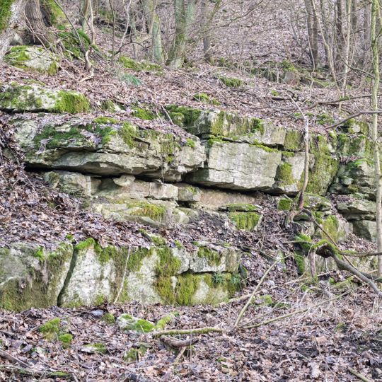 NSG Stollen am grossen Viadukt westlich Altenbeken