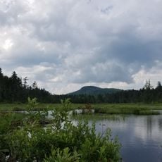 Groton State Forest
