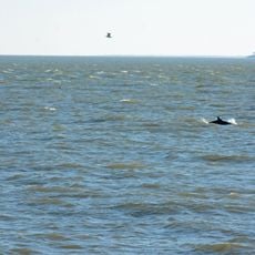 St. Simons Sound