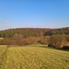 Naturschutzgebiet Buchertsgräben bei Schlierbach