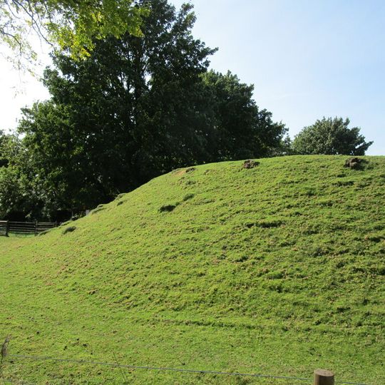 Castle Hill ringwork west of St James's Church