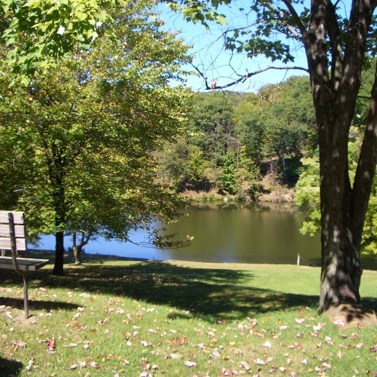 Tomlinson Run Staatspark