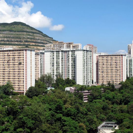 Shun Tin Estate
