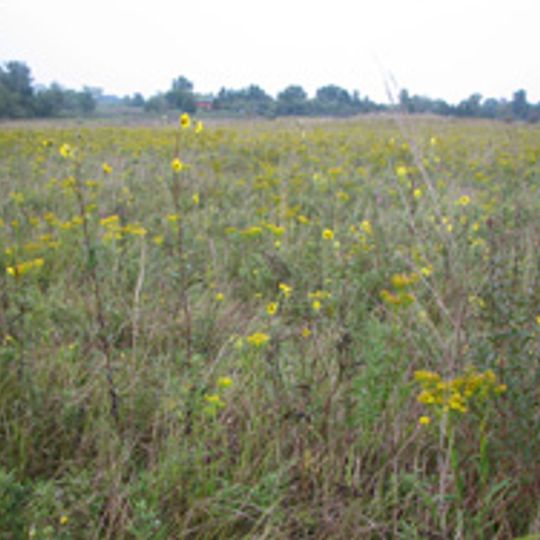 Goose Creek Grasslands