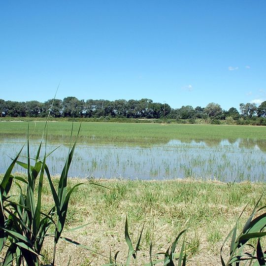 Parco naturale regionale della Camargue