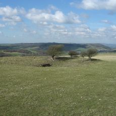 Round barrows W of Ditchling Beacon