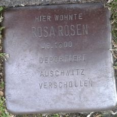 Rosa Rosen