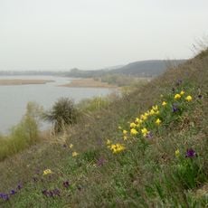 Dzhulaika botanical sanctuary