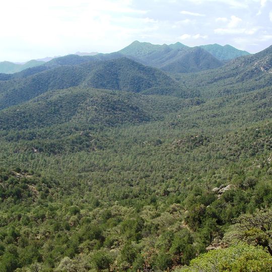 Coronado National Forest