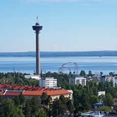 Näsinneula
