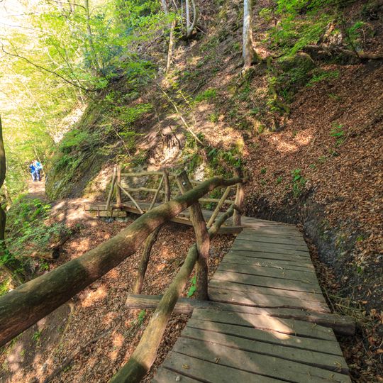 Lávka ve svahu na stezce U Eremita