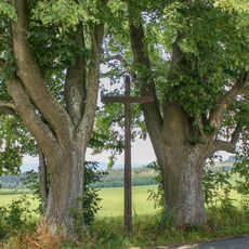 Dřevěný kříž u Vikantic vedle silnice
