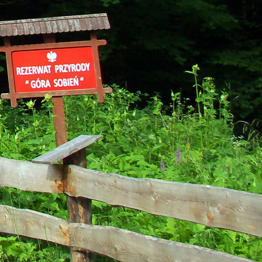 Góra Sobień