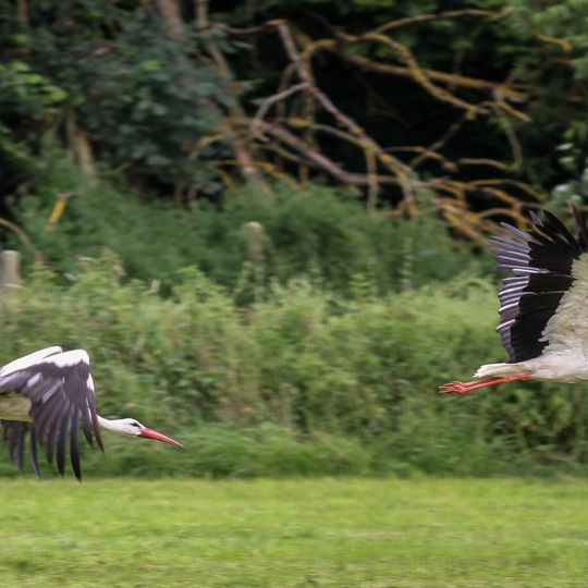 Landschaftsschutzgebiet Auenverbund Lahn-Ohm