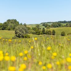 Landschaftsschutzpark Dramburg