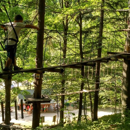 Leśny Park Przygody "Skalisko"