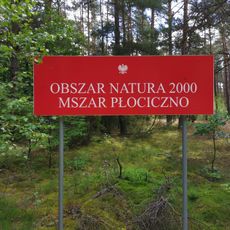 Rezerwat przyrody Mszar Płociczno