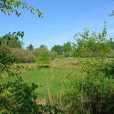 Südermoor bei Schwienhusen