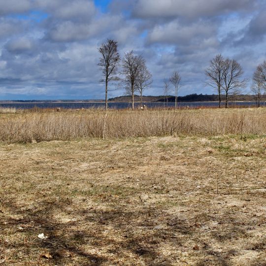 Burtnieku ezera pļavas