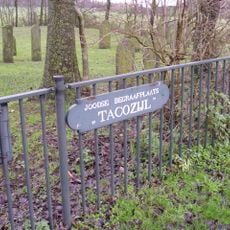 Joodse begraafplaats