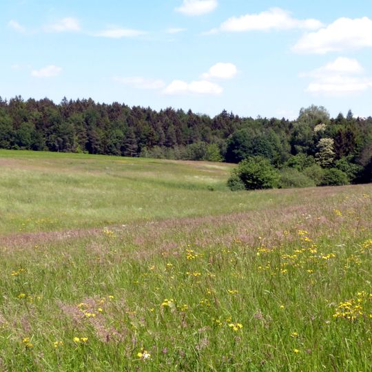 Feuchtgebiet im Christfeld