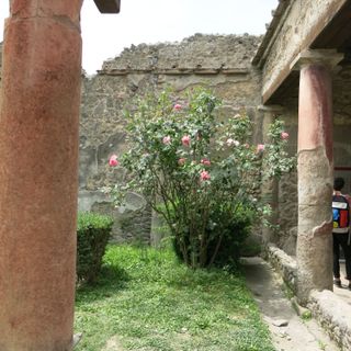 House of Vetutius Placidus (secondary entrance I.8.9)