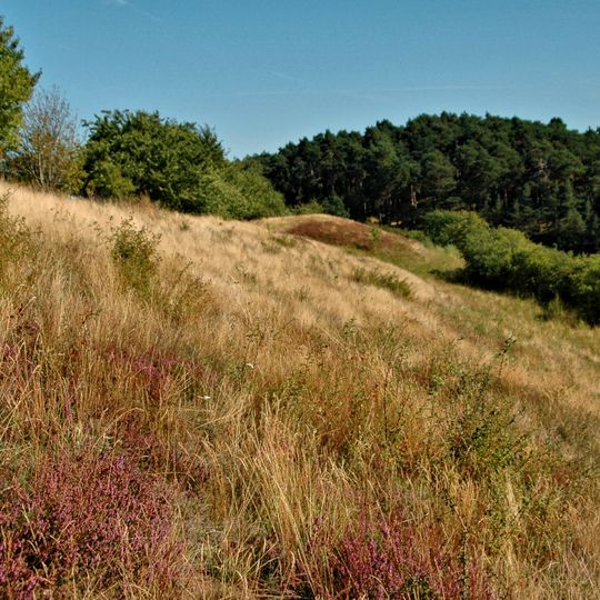 Harslebener Berge und Steinholz