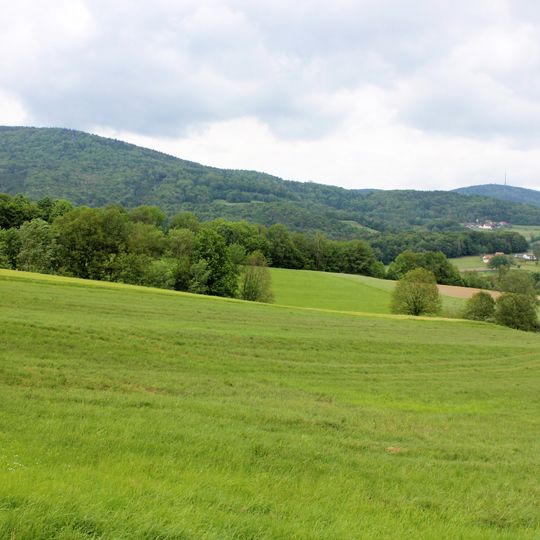 Wiesengebiete u. Wälder um den Brotjackelriegel und um Schöllnach