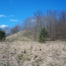 Nemajūnų piliakalnis