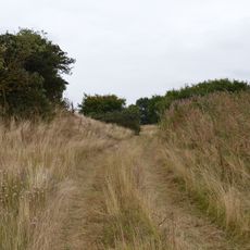 Furze Hill