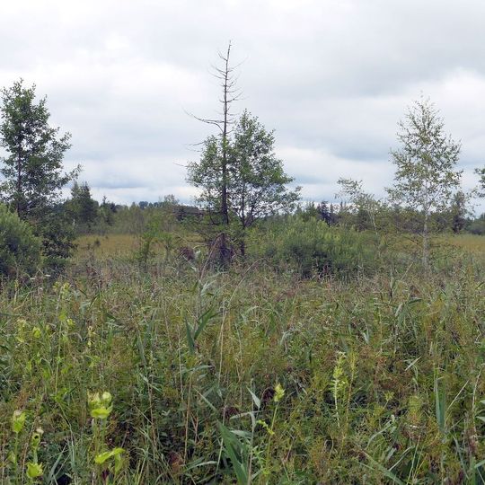 Attenloher Filzen und Mariensteiner Moore