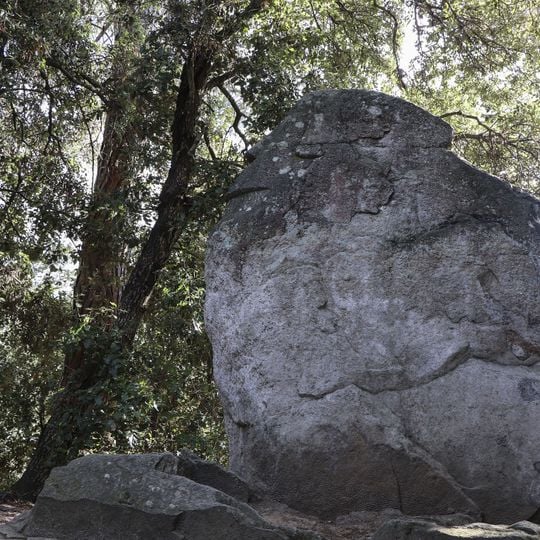 The Indian, the Elefant and the Moai