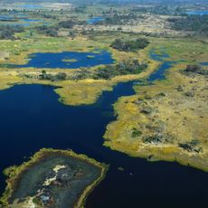 Delta de l'Okavango