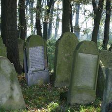 Jewish cemetery in Brzesko