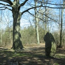 Buk u kaple sv. Jana Křtitele