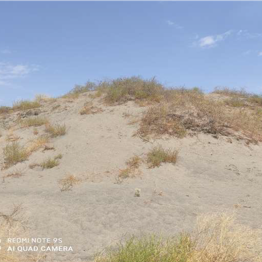 Akbarobod natural monument