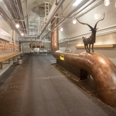 Музей Велкопоповицкого Козела