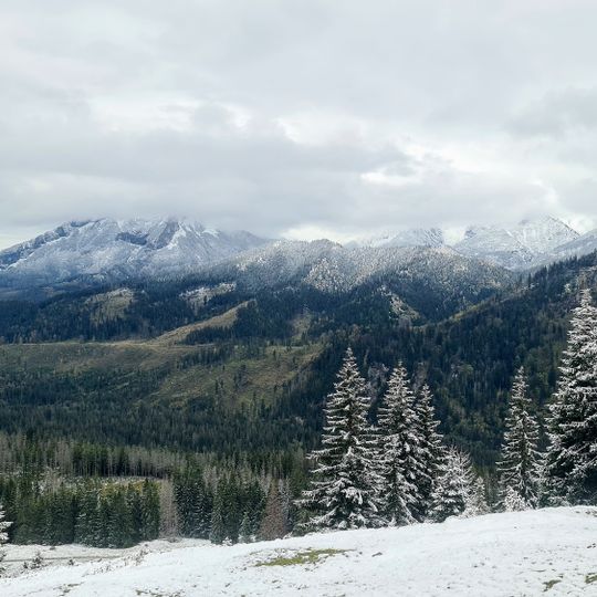 Wypas Kulturowy owiec - Bacówka