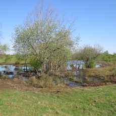 Stiftungsflächen Schäferhaus
