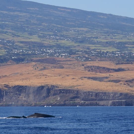 Cap la Houssaye
