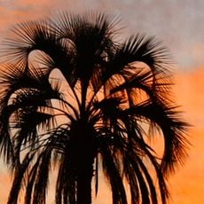 El Palmar National Park