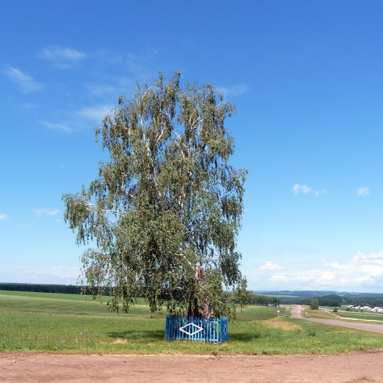 Baltachevsky District