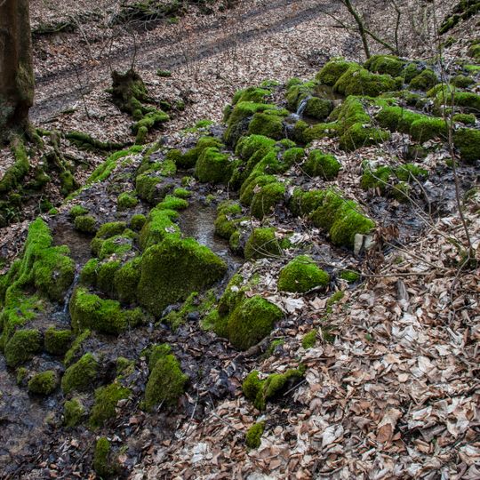 Kalktuffterrasse von Kainsbach
