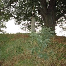 Kříž u Luženic u památné lípy a výhledu do krajiny