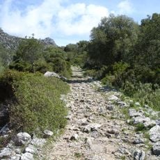 Calzada Ubrique - Benaocaz