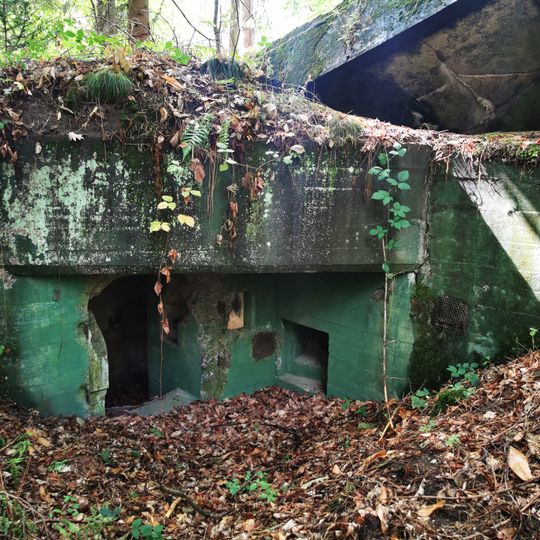 Bunker 305 Forstwald