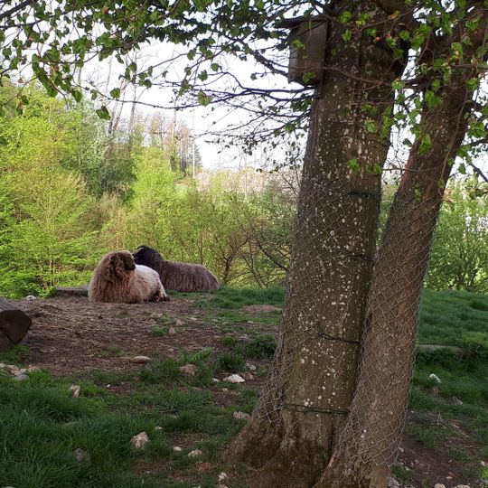 Wildpark Mühletäli