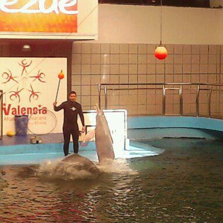 Valencia Aquarium